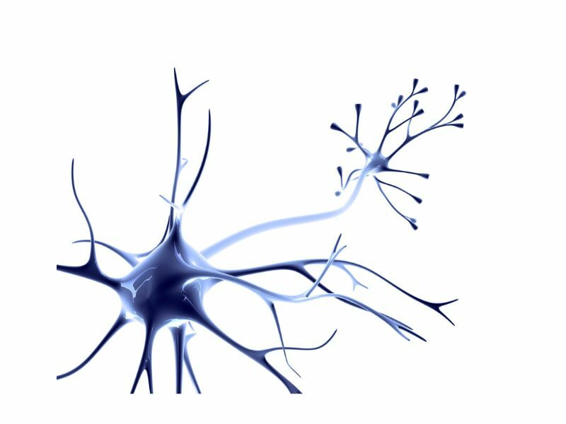 Terapia-neural